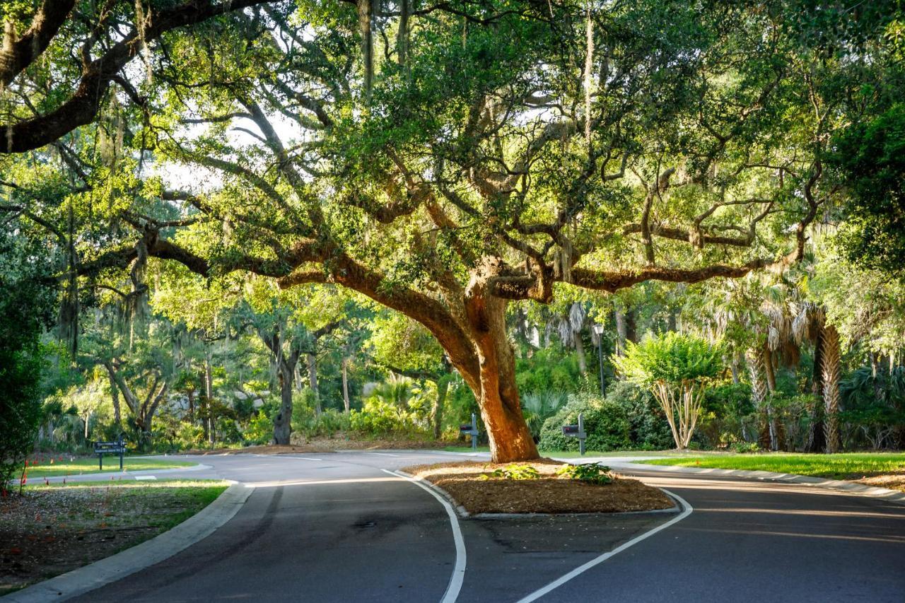 1314 Pelican Watch - Seabrook Island - Beachfront 5 Star Condo - Fido Friendly Exterior foto