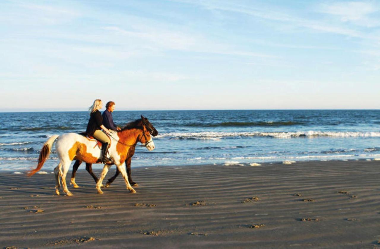 1314 Pelican Watch - Seabrook Island - Beachfront 5 Star Condo - Fido Friendly Exterior foto